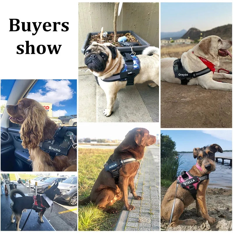 Tagfit Pup Harness